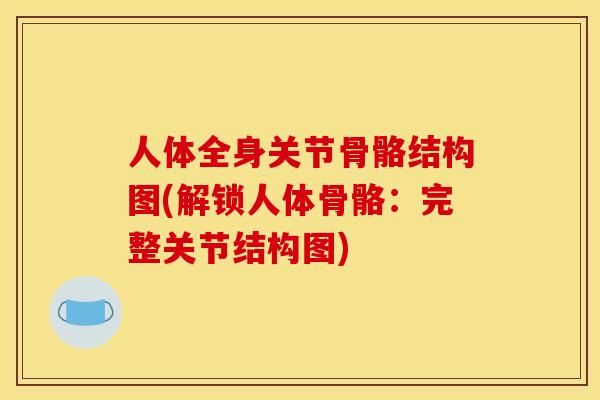 人体全身关节骨骼结构图(解锁人体骨骼：完整关节结构图)