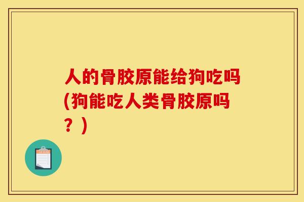 人的骨胶原能给狗吃吗(狗能吃人类骨胶原吗？)