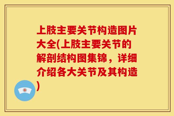 上肢主要关节构造图片大全(上肢主要关节的解剖结构图集锦，详细介绍各大关节及其构造)