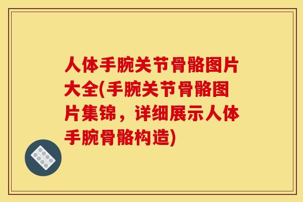 人体手腕关节骨骼图片大全(手腕关节骨骼图片集锦,详细展示人体手腕骨骼构造) 人体手腕关节骨骼图片大全(手腕关节骨骼图片集锦,详细展示人体手腕骨骼构造)