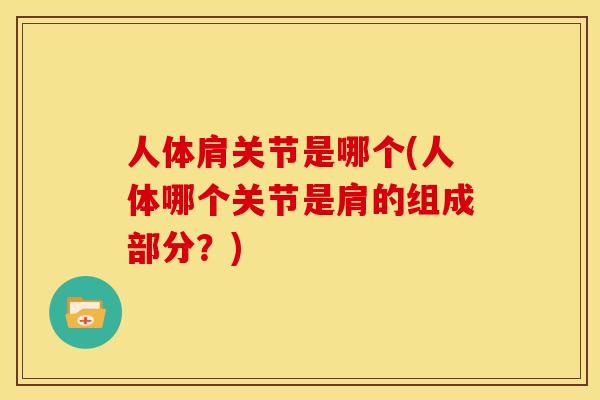 人体肩关节是哪个(人体哪个关节是肩的组成部分？)