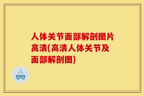 人体关节面部解剖图片高清(高清人体关节及面部解剖图) 人体关节面部解剖图片高清(高清人体关节及面部解剖图)
