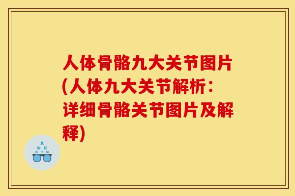 人体骨骼九大关节图片(人体九大关节解析:详细骨骼关节图片及解释) 人体骨骼九大关节图片(人体九大关节解析:详细骨骼关节图片及解释)