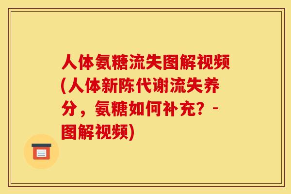 人体氨糖流失图解视频(人体流失养分,氨糖如何补充?-图解视频) 人体氨糖流失图解视频(人体流失养分,氨糖如何补充?-图解视频)