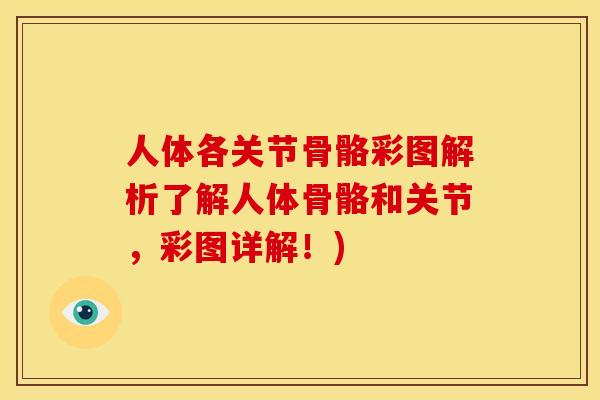 人体各关节骨骼彩图解析了解人体骨骼和关节,彩图详解!) 人体各关节骨骼彩图解析了解人体骨骼和关节,彩图详解!)