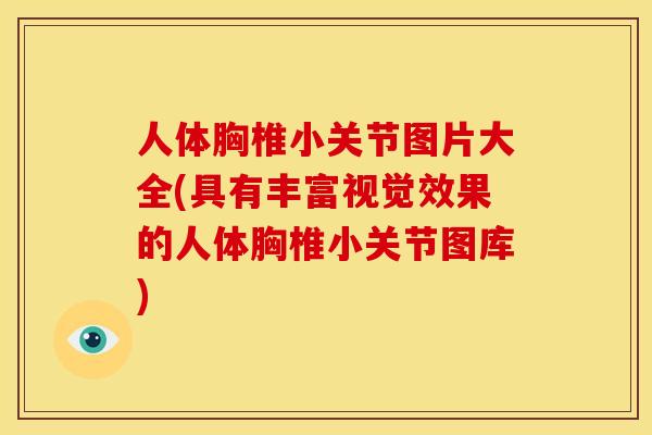 人体胸椎小关节图片大全(具有丰富视觉效果的人体胸椎小关节图库) 人体胸椎小关节图片大全(具有丰富视觉效果的人体胸椎小关节图库)