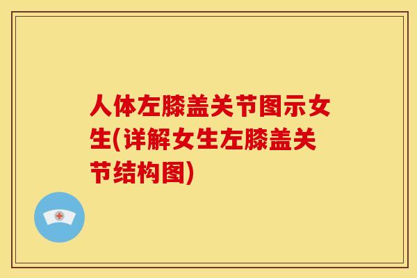 人体左膝盖关节图示女生(详解女生左膝盖关节结构图)