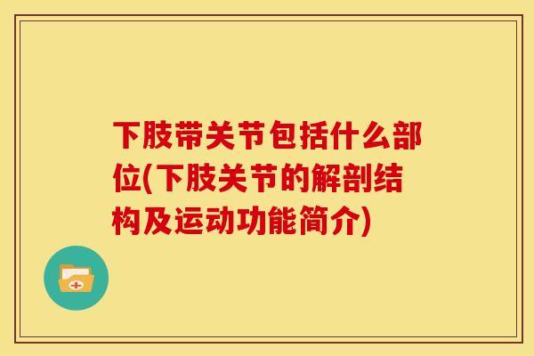 下肢带关节包括什么部位(下肢关节的解剖结构及运动功能简介)