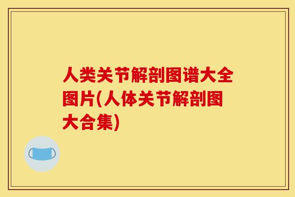 人类关节解剖图谱大全图片(人体关节解剖图大合集) 人类关节解剖图谱大全图片(人体关节解剖图大合集)