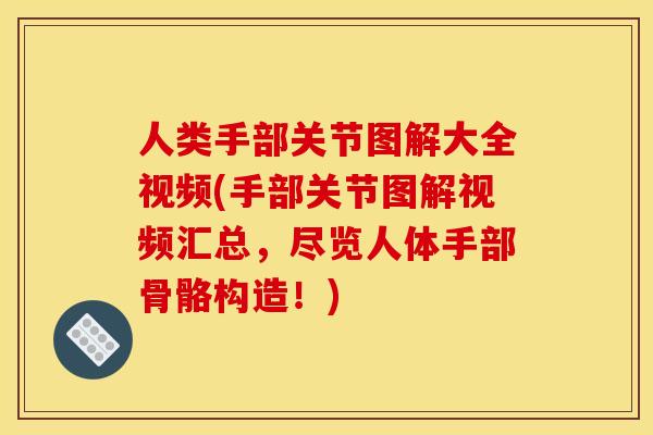 人类手部关节图解大全视频(手部关节图解视频汇总,尽览人体手部骨骼构造!) 人类手部关节图解大全视频(手部关节图解视频汇总,尽览人体手部骨骼构造!)