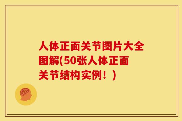人体正面关节图片大全图解(50张人体正面关节结构实例!) 人体正面关节图片大全图解(50张人体正面关节结构实例!)