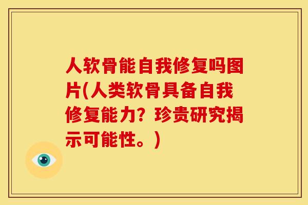 人软骨能自我修复吗图片(人类软骨具备自我修复能力?珍贵研究揭示可能性。) 人软骨能自我修复吗图片(人类软骨具备自我修复能力?珍贵研究揭示可能性。)