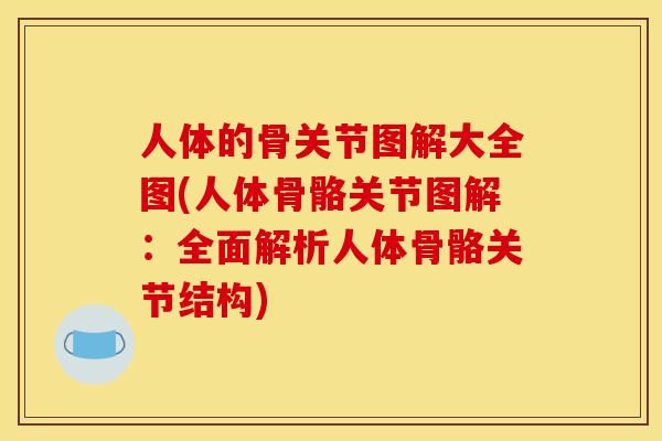 人体的骨关节图解大全图(人体骨骼关节图解：全面解析人体骨骼关节结构)