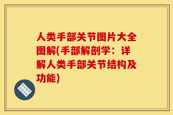 人类手部关节图片大全图解(手部解剖学:详解人类手部关节结构及功能) 人类手部关节图片大全图解(手部解剖学:详解人类手部关节结构及功能)