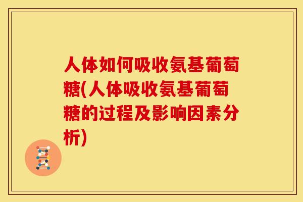 人体如何吸收氨基葡萄糖(人体吸收氨基葡萄糖的过程及影响因素分析) 人体如何吸收氨基葡萄糖(人体吸收氨基葡萄糖的过程及影响因素分析)