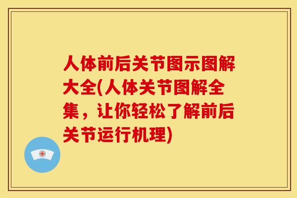 人体前后关节图示图解大全(人体关节图解全集，让你轻松了解前后关节运行机理)