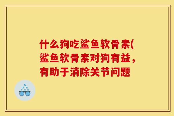 什么狗吃鲨鱼软骨素(鲨鱼软骨素对狗有益，有助于消除关节问题