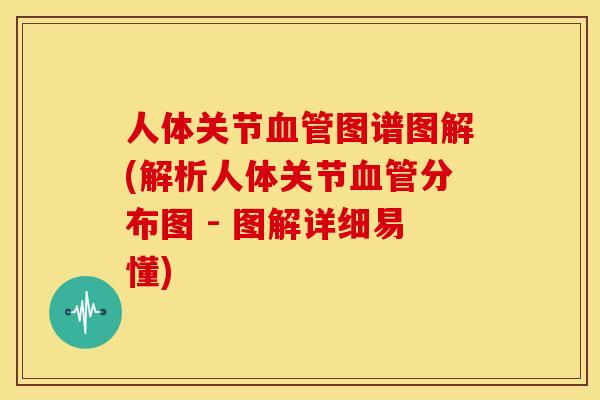 人体关节图谱图解(解析人体关节分布图 - 图解详细易懂) 人体关节图谱图解(解析人体关节分布图 - 图解详细易懂)