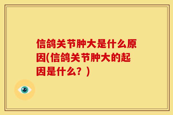 信鸽关节肿大是什么原因(信鸽关节肿大的起因是什么？)