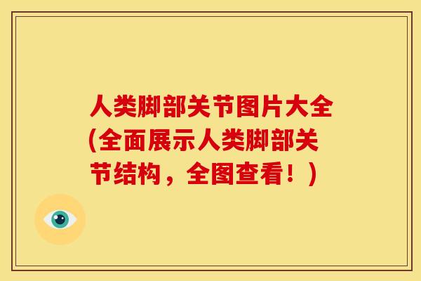 人类脚部关节图片大全(全面展示人类脚部关节结构,全图查看!) 人类脚部关节图片大全(全面展示人类脚部关节结构,全图查看!)
