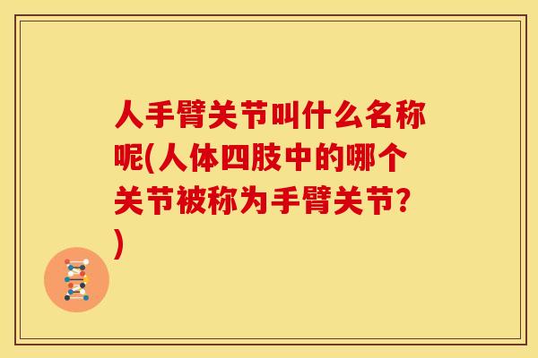 人手臂关节叫什么名称呢(人体四肢中的哪个关节被称为手臂关节?) 人手臂关节叫什么名称呢(人体四肢中的哪个关节被称为手臂关节?)