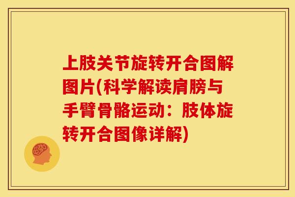 上肢关节旋转开合图解图片(科学解读肩膀与手臂骨骼运动:肢体旋转开合图像详解) 上肢关节旋转开合图解图片(科学解读肩膀与手臂骨骼运动:肢体旋转开合图像详解)