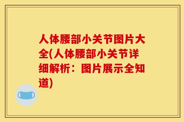人体腰部小关节图片大全(人体腰部小关节详细解析:图片展示全知道) 人体腰部小关节图片大全(人体腰部小关节详细解析:图片展示全知道)