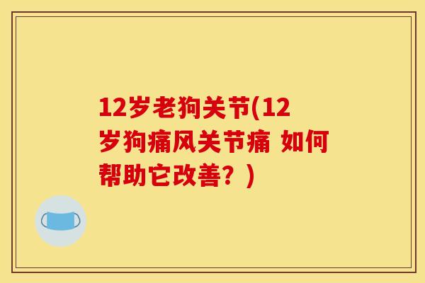 12岁老狗关节(12岁狗关节痛 如何帮助它改善?) 12岁老狗关节(12岁狗关节痛 如何帮助它改善?)