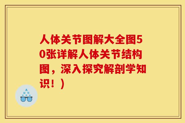 人体关节图解大全图50张详解人体关节结构图,深入探究解剖学知识!) 人体关节图解大全图50张详解人体关节结构图,深入探究解剖学知识!)