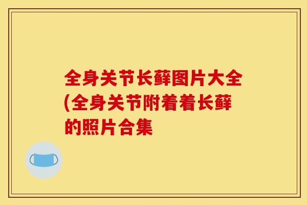 全身关节长藓图片大全(全身关节附着着长藓的照片合集