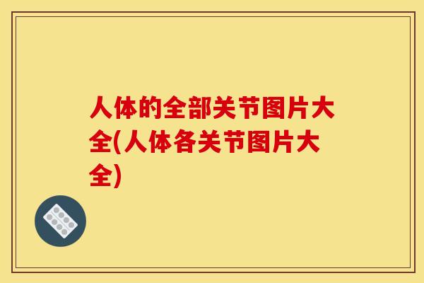 人体的全部关节图片大全(人体各关节图片大全) 人体的全部关节图片大全(人体各关节图片大全)