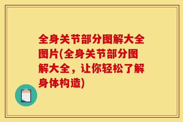 全身关节部分图解大全图片(全身关节部分图解大全,让你轻松了解身体构造) 全身关节部分图解大全图片(全身关节部分图解大全,让你轻松了解身体构造)