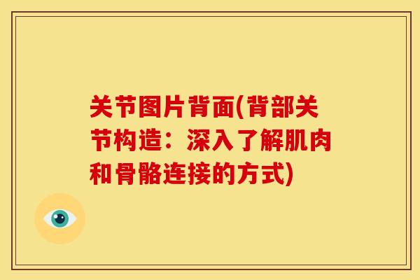 关节图片背面(背部关节构造:深入了解肌肉和骨骼连接的方式) 关节图片背面(背部关节构造:深入了解肌肉和骨骼连接的方式)