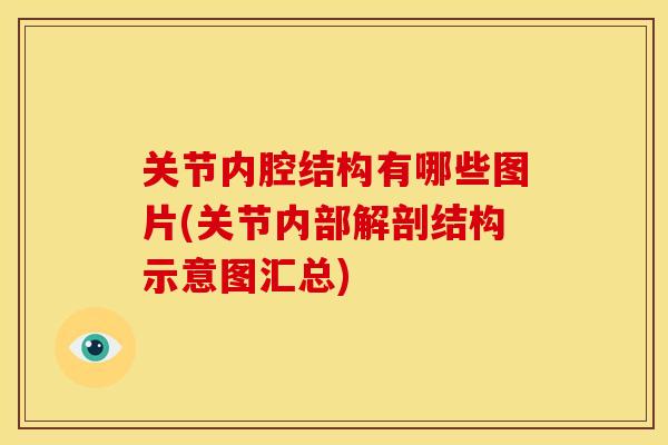 关节内腔结构有哪些图片(关节内部解剖结构示意图汇总)