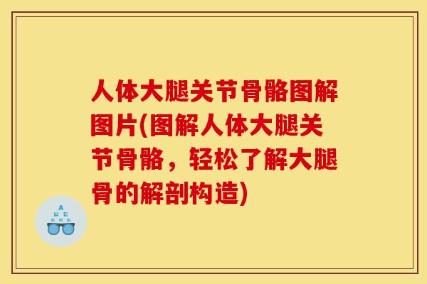 人体大腿关节骨骼图解图片(图解人体大腿关节骨骼,轻松了解大腿骨的解剖构造) 人体大腿关节骨骼图解图片(图解人体大腿关节骨骼,轻松了解大腿骨的解剖构造)