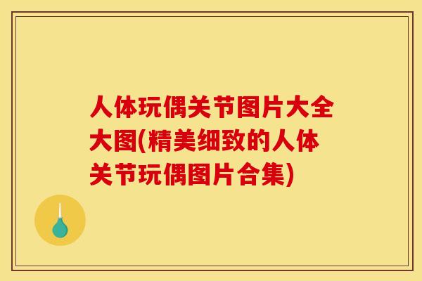 人体玩偶关节图片大全大图(精美细致的人体关节玩偶图片合集) 人体玩偶关节图片大全大图(精美细致的人体关节玩偶图片合集)