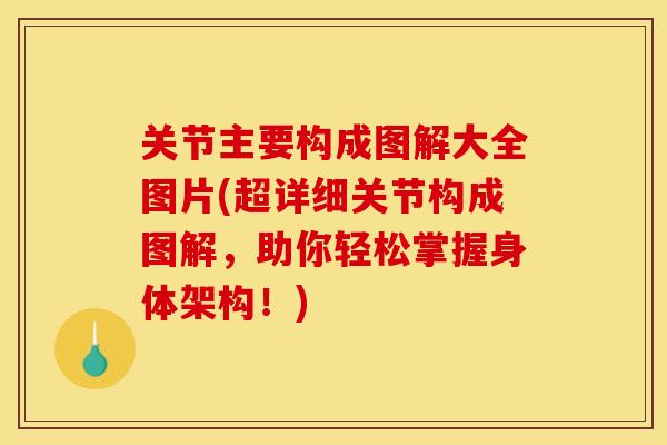 关节主要构成图解大全图片(超详细关节构成图解，助你轻松掌握身体架构！)