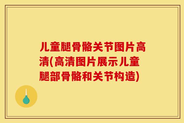 儿童腿骨骼关节图片高清(高清图片展示儿童腿部骨骼和关节构造) 儿童腿骨骼关节图片高清(高清图片展示儿童腿部骨骼和关节构造)