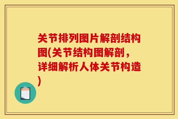 关节排列图片解剖结构图(关节结构图解剖,详细解析人体关节构造) 关节排列图片解剖结构图(关节结构图解剖,详细解析人体关节构造)