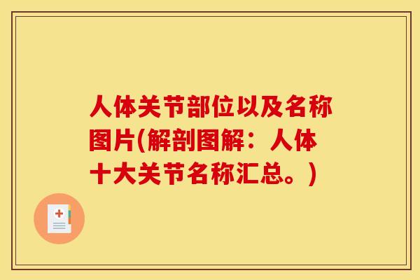 人体关节部位以及名称图片(解剖图解：人体十大关节名称汇总。)