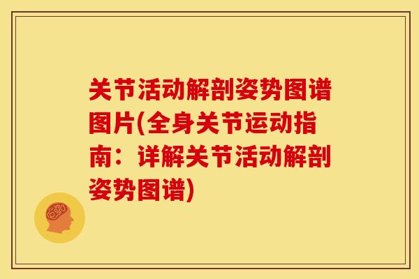 关节活动解剖姿势图谱图片(全身关节运动指南：详解关节活动解剖姿势图谱)