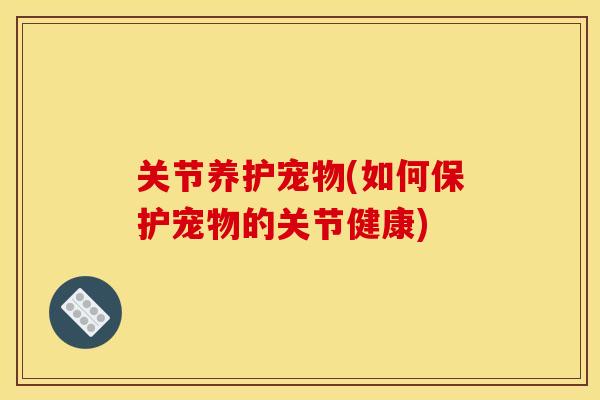 关节养护宠物(如何保护宠物的关节健康)