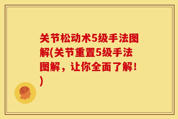 关节松动术5级手法图解(关节重置5级手法图解,让你全面了解!) 关节松动术5级手法图解(关节重置5级手法图解,让你全面了解!)