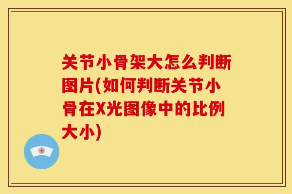 关节小骨架大怎么判断图片(如何判断关节小骨在X光图像中的比例大小) 关节小骨架大怎么判断图片(如何判断关节小骨在X光图像中的比例大小)