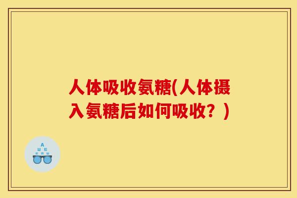人体吸收氨糖(人体摄入氨糖后如何吸收?) 人体吸收氨糖(人体摄入氨糖后如何吸收?)
