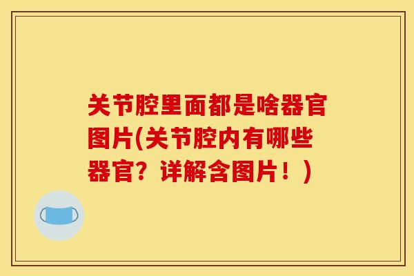 关节腔里面都是啥器官图片(关节腔内有哪些器官?详解含图片!) 关节腔里面都是啥器官图片(关节腔内有哪些器官?详解含图片!)