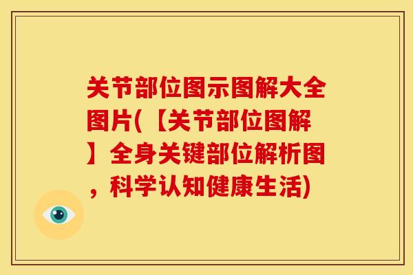 关节部位图示图解大全图片(【关节部位图解】全身关键部位解析图,科学认知健康生活) 关节部位图示图解大全图片(【关节部位图解】全身关键部位解析图,科学认知健康生活)