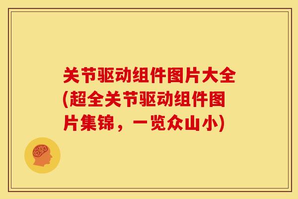 关节驱动组件图片大全(超全关节驱动组件图片集锦，一览众山小)