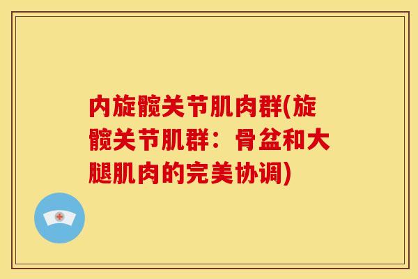 内旋髋关节肌肉群(旋髋关节肌群:骨盆和大腿肌肉的完美协调) 内旋髋关节肌肉群(旋髋关节肌群:骨盆和大腿肌肉的完美协调)