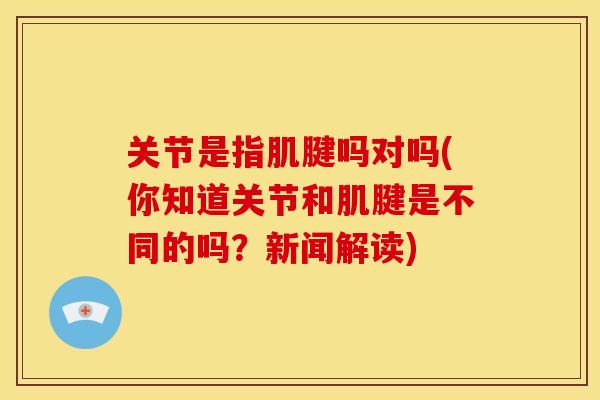 关节是指肌腱吗对吗(你知道关节和肌腱是不同的吗?新闻解读) 关节是指肌腱吗对吗(你知道关节和肌腱是不同的吗?新闻解读)